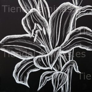 LÁMINA:F5-1354  60X60