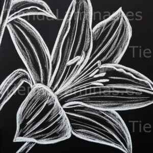 LÁMINA:F5-1355  60X60