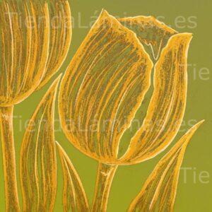 LÁMINA: F6-1411 60X60