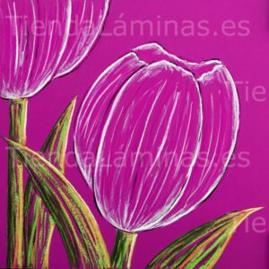 LÁMINA: F6-1417 60X60