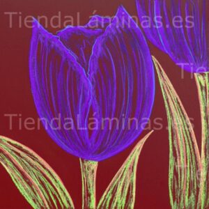 LÁMINA: F6-1421 60X60