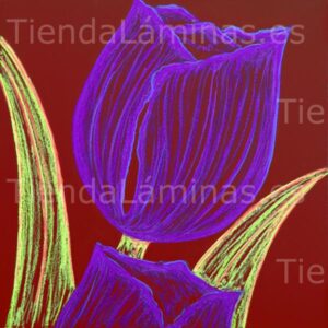 LÁMINA: F6-1422 60X60