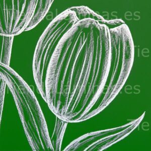 LÁMINA: F6-1426 60X60