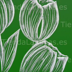 LÁMINA: F6-1427 60X60