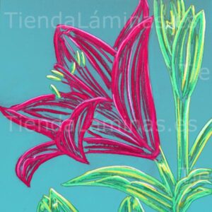 LÁMINA: F6-1431 60X60