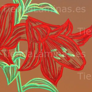 LÁMINA: F6-1433 60X60