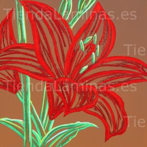 LÁMINA: F6-1434 60X60