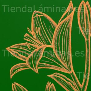 LÁMINA: F6-1436 60X60