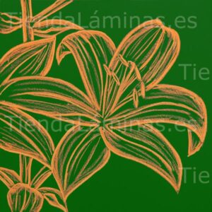 LÁMINA: F6-1438 60X60