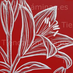 LÁMINA: F6-1440 60X60