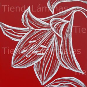 LÁMINA: F6-1441 60X60