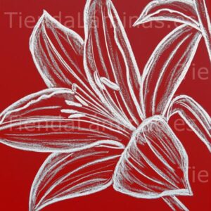 LÁMINA: F6-1443 60X60