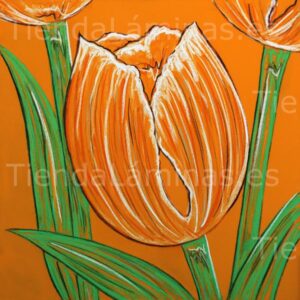 LÁMINA: F6-1445 60X60