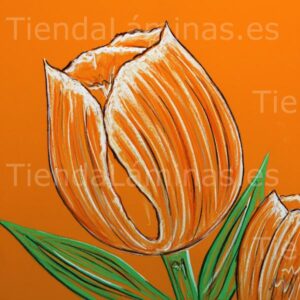 LÁMINA: F6-1447 60X60