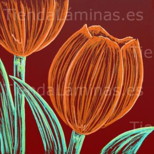 LÁMINA: F6-1449 60X60