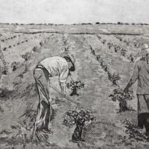 LÁMINA:CL-0618.1  30X50