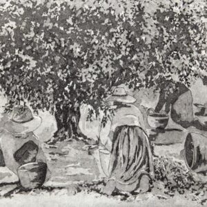 LÁMINA:CL-0619  40X60