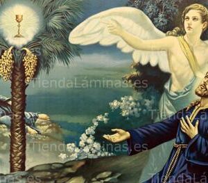 LÁMINA:CL-S588  35X80