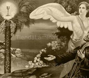 LÁMINA:CL-S589  35X80