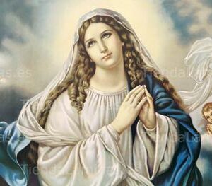 LÁMINA:CL-S590  35X80