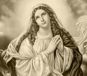 LÁMINA:CL-S591  35X80