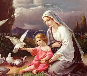 LÁMINA:CL-S592  35X80