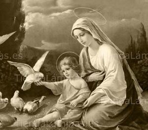 LÁMINA:CL-S593  35X80