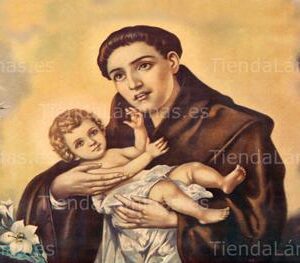 LÁMINA:CL-S596  35X80