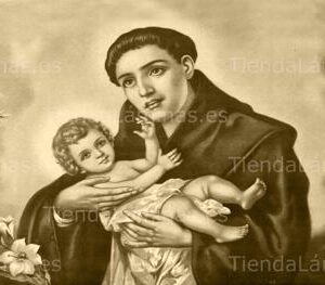 LÁMINA:CL-S597  35X80