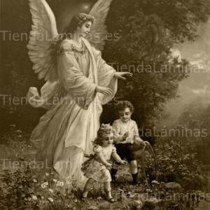 LÁMINA:CL-S599  40X52