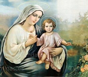 LÁMINA:CL-S600  35X80