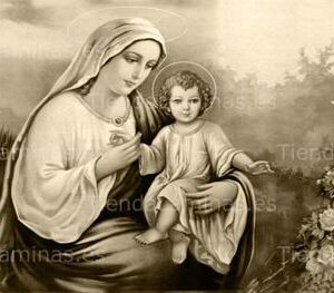 LÁMINA:CL-S601  35X80