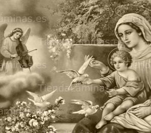 LÁMINA:CL-S605  35X80