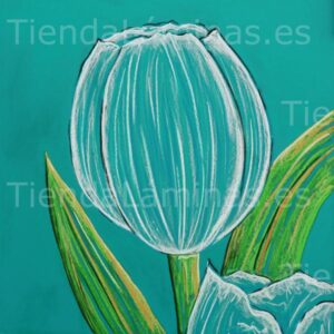 LÁMINA: F6-1412 60X60