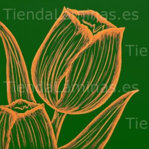 LÁMINA: F6-1456 60X60