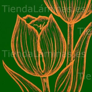 LÁMINA: F6-1457 60X60