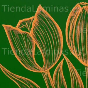 LÁMINA: F6-1458 60X60