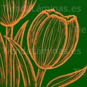 LÁMINA: F6-1459 60X60