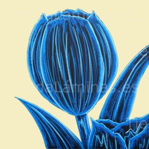 LÁMINA: F6-1462 60X60