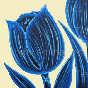 LÁMINA: F6-1461 60X60