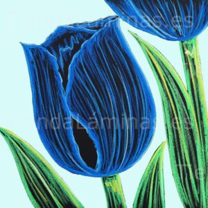 LÁMINA: F6-1466 60X60