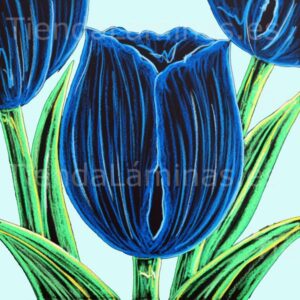 LÁMINA: F6-1467 60X60