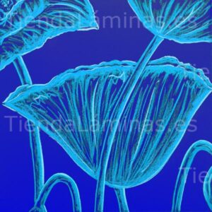 LÁMINA: F6-1470 60X60