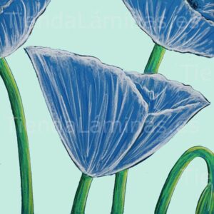 LÁMINA: F6-1476 60X60