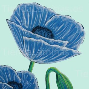 LÁMINA: F6-1477 60X60