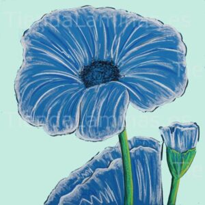 LÁMINA: F6-1478 60X60