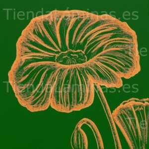 LÁMINA: F6-1483 60X60