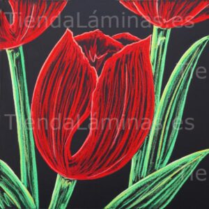 LÁMINA:F5-1362  60X60