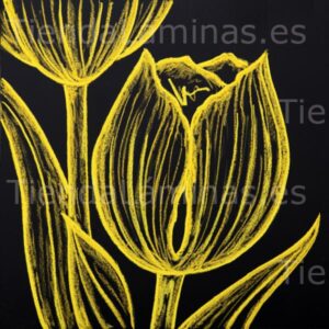 LÁMINA:F5-1369  60X60