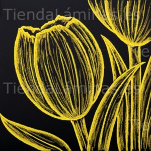 LÁMINA:F5-1371  60X60